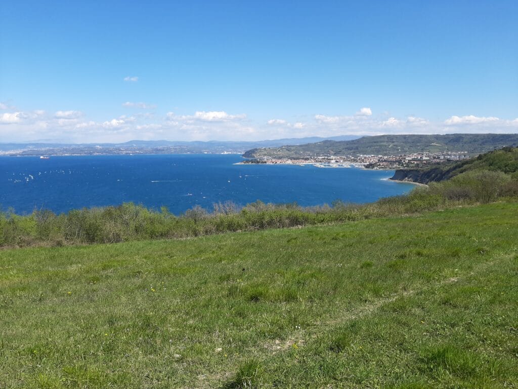 Izola